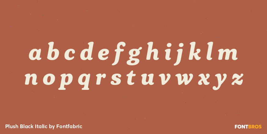 Plush Black Italic Font Poster #1