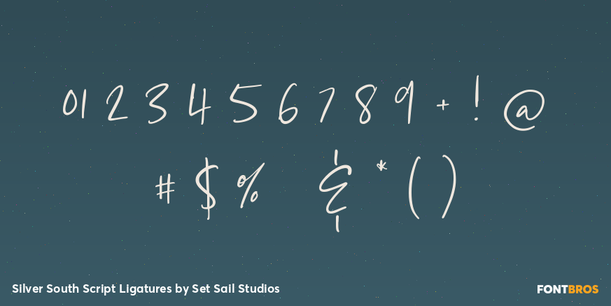 Silver South Script Ligatures Font Poster #1