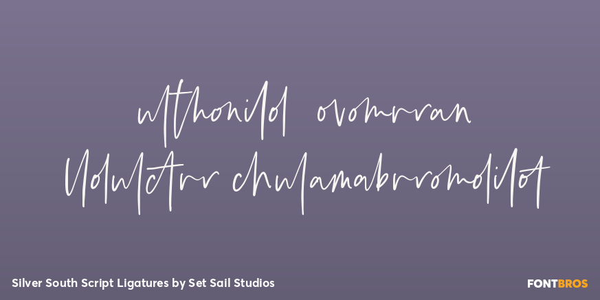Silver South Script Ligatures Font Poster #1