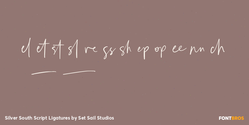 Silver South Script Ligatures Font Poster #2