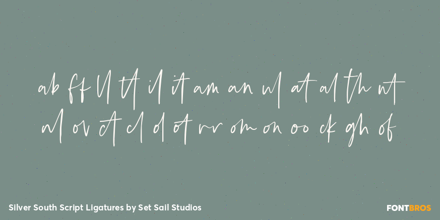 Silver South Script Ligatures Font Poster #3