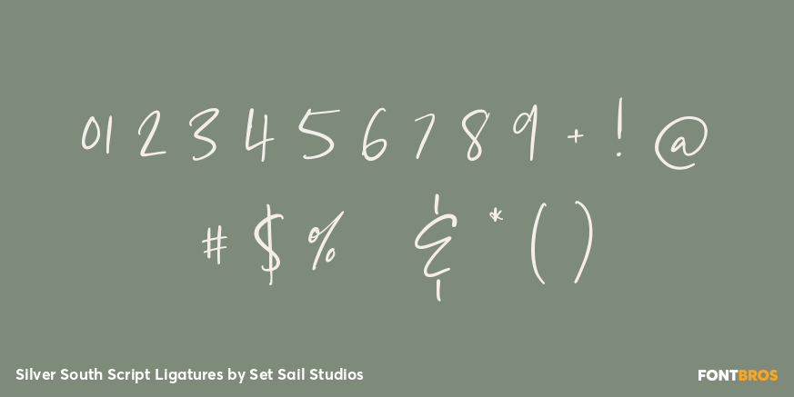 Silver South Script Ligatures Font Poster #4