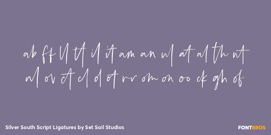 Silver South Script Ligatures Font Poster #1