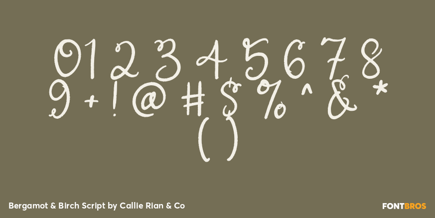 Bergamot & Birch Script Font Poster #1