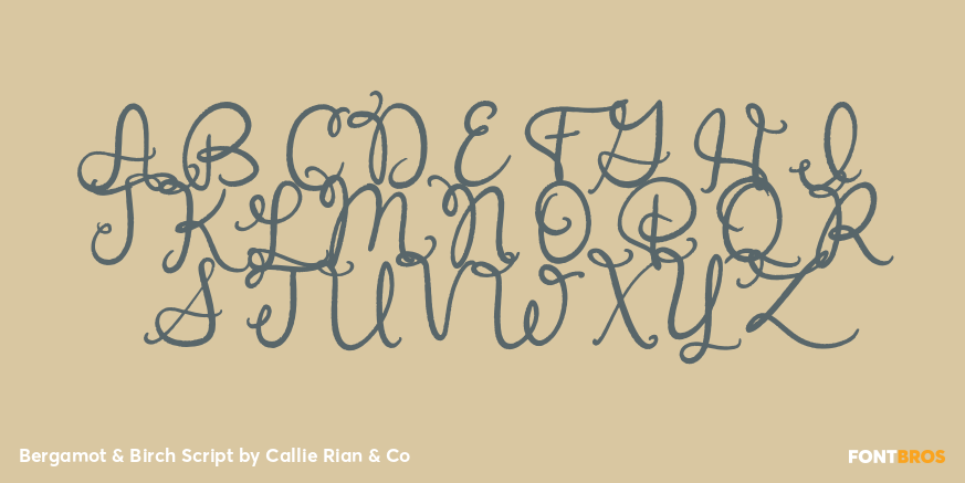 Bergamot & Birch Script Font Poster #2