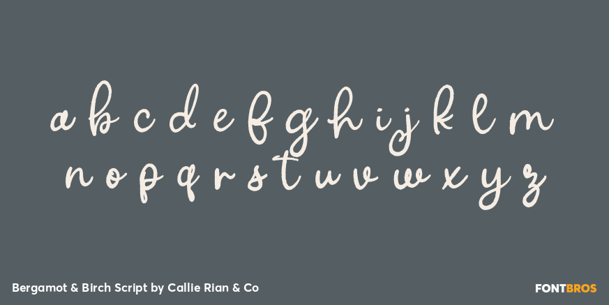 Bergamot & Birch Script Font Poster #3
