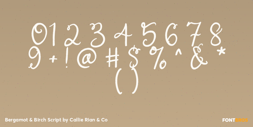 Bergamot & Birch Script Font Poster #4