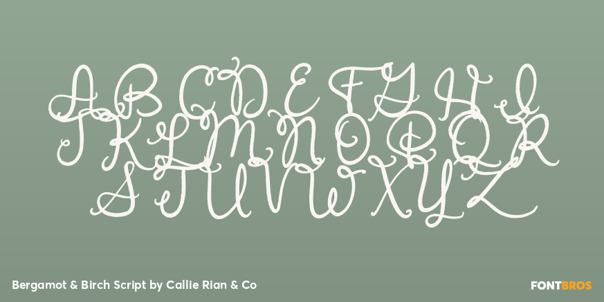 Bergamot & Birch Script Font Poster #1