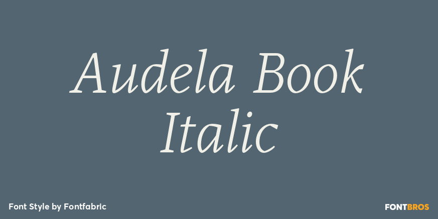 Audela Book Italic Font Poster #1