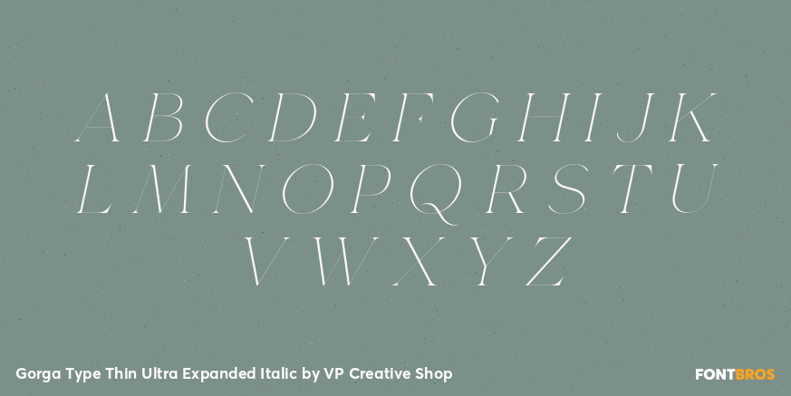 Gorga Type Thin Ultra Expanded Italic Font Poster #2