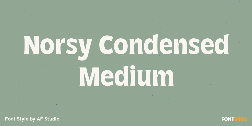 Norsy Condensed Medium Font Poster #1
