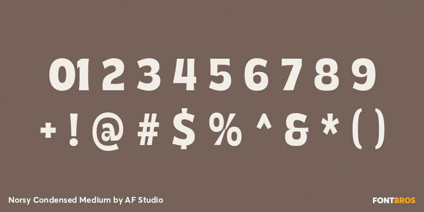 Norsy Condensed Medium Font Poster #4