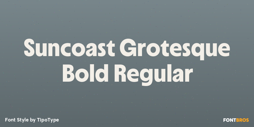 Suncoast Grotesque Bold Regular Font Poster #1
