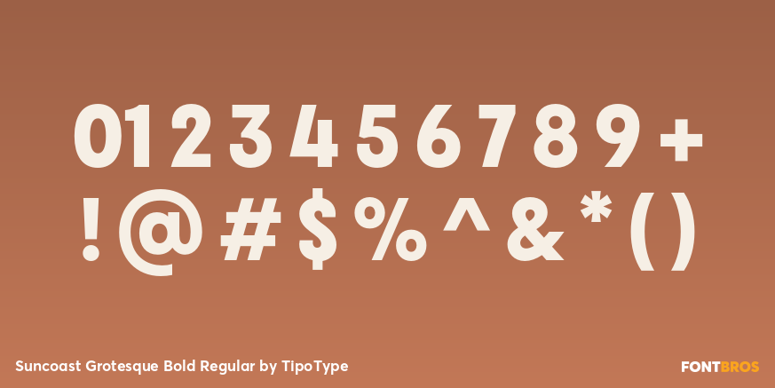 Suncoast Grotesque Bold Regular Font Poster #1