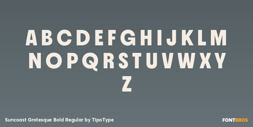 Suncoast Grotesque Bold Regular Font Poster #1