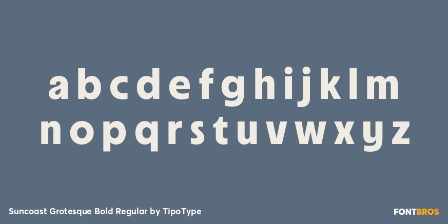Suncoast Grotesque Bold Regular Font Poster #1