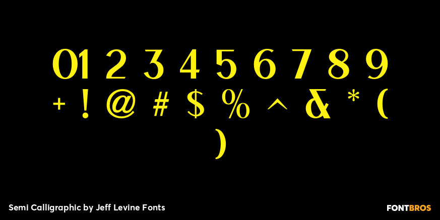 Semi Calligraphic Font Poster #4