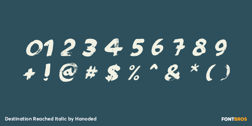 Destination Reached Italic Font Poster #1