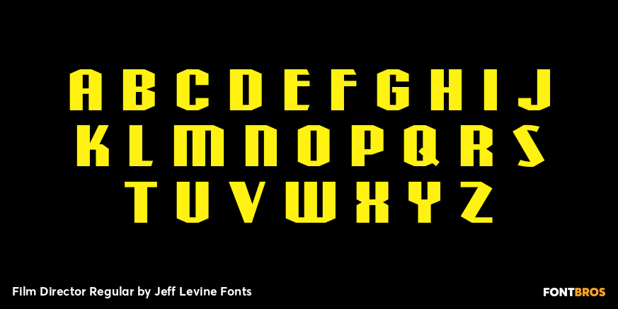 Film Director Regular Font Poster #3