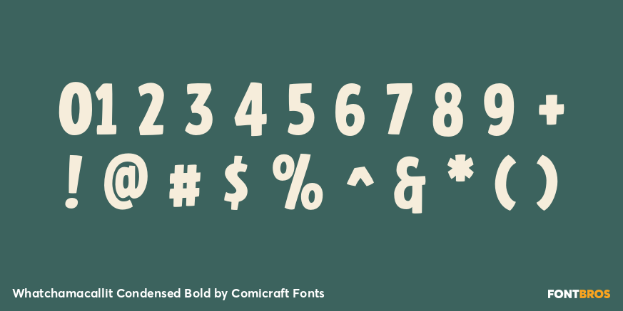 Whatchamacallit Condensed Bold Font Poster #4