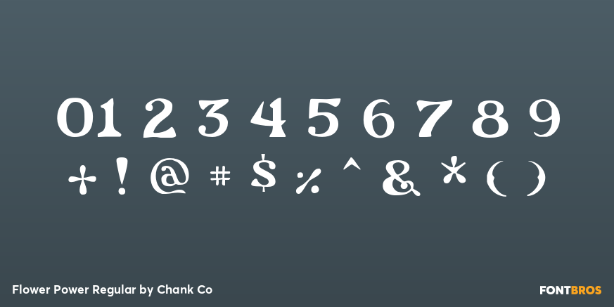 Flower Power Regular Font Poster #1