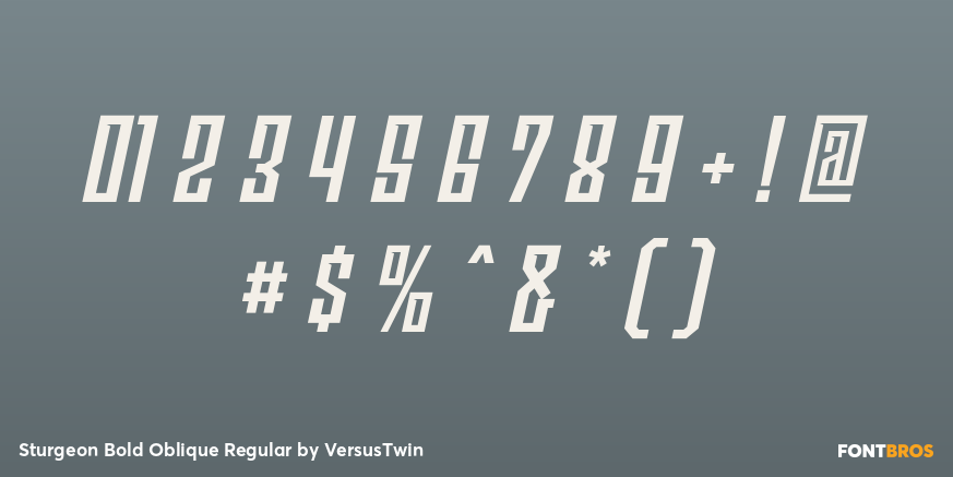 Sturgeon Bold Oblique Regular Font Poster #4