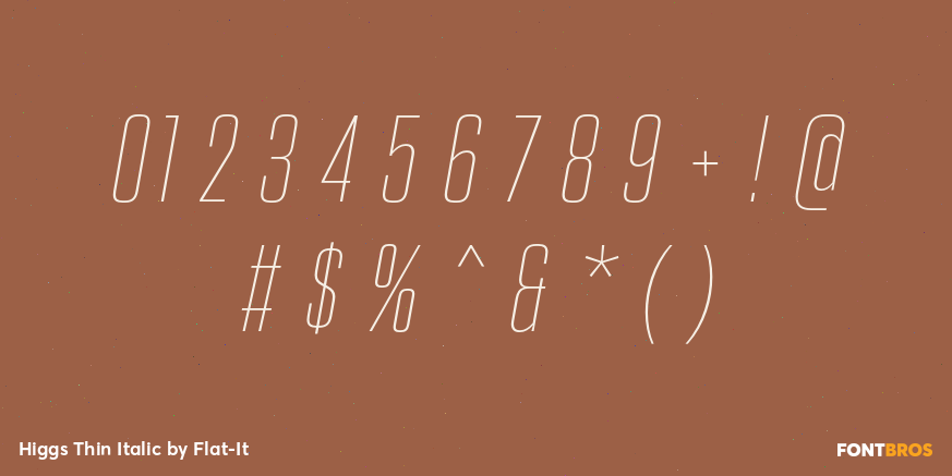 Higgs Thin Italic Font Poster #4