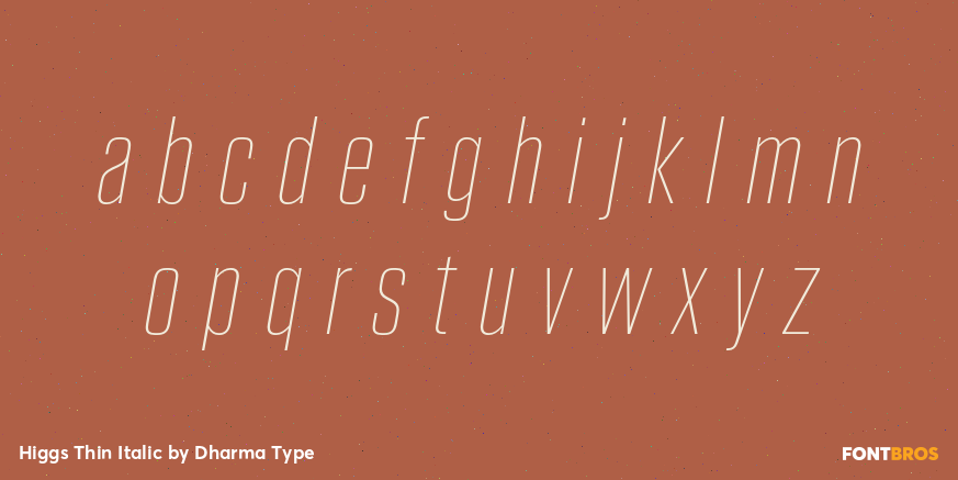 Higgs Thin Italic Font Poster #3