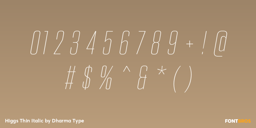 Higgs Thin Italic Font Poster #4
