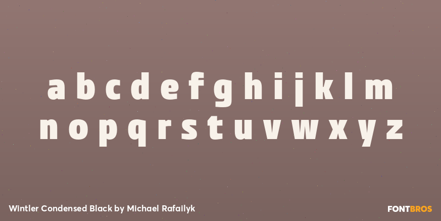 Wintler Condensed Black Font Poster #1