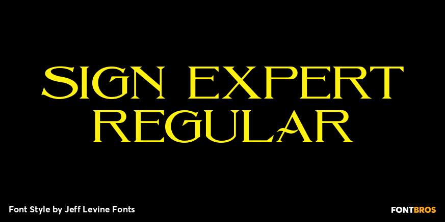 Sign Expert Regular Poster