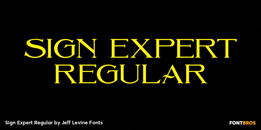 Sign Expert Regular Poster