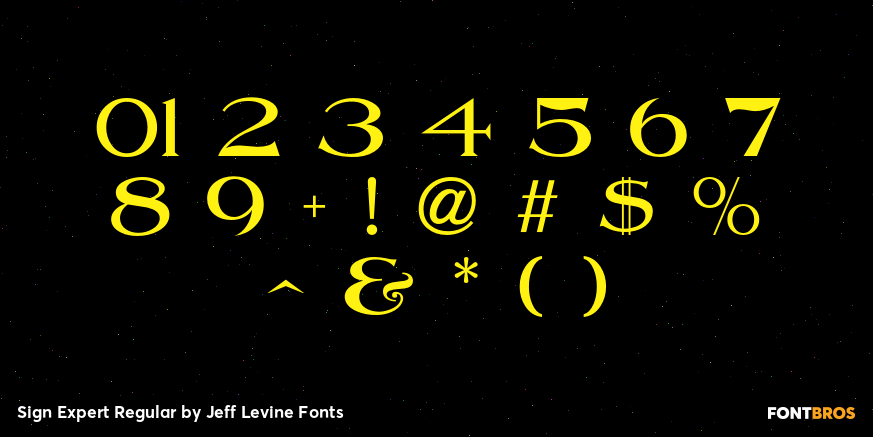 Sign Expert Regular Font Poster #4