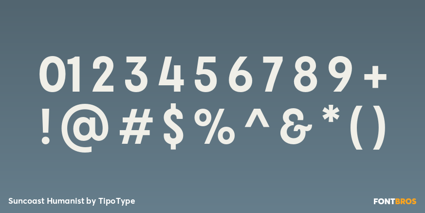 Suncoast Humanist Font Poster #1