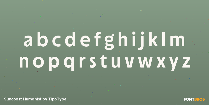 Suncoast Humanist Font Poster #3