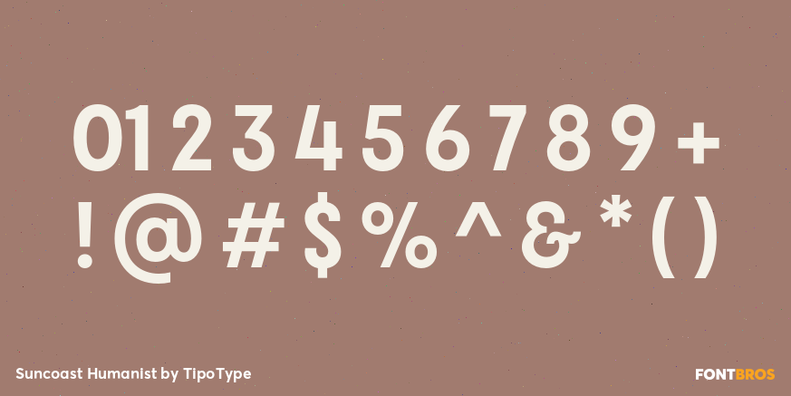 Suncoast Humanist Font Poster #4
