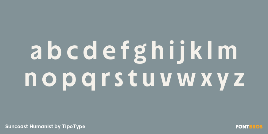 Suncoast Humanist Font Poster #1