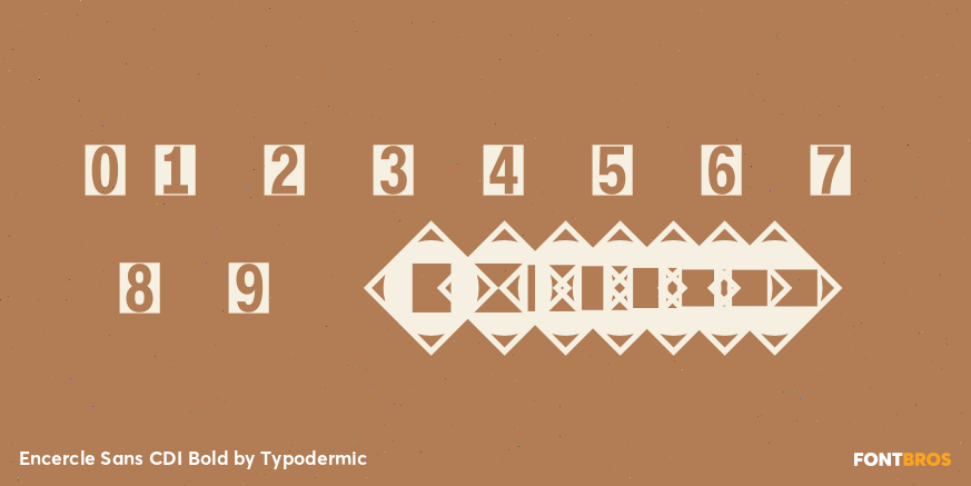 Encercle Sans CDI Bold Font Poster #1