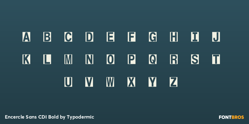 Encercle Sans CDI Bold Font Poster #3