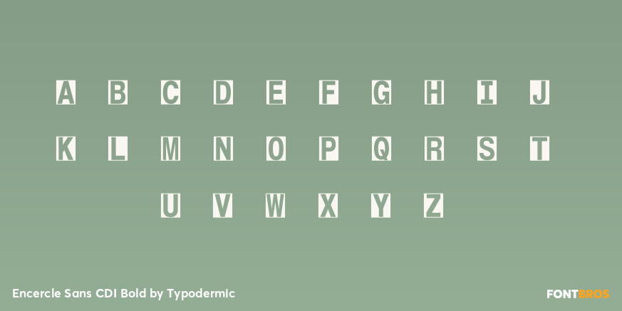 Encercle Sans CDI Bold Font Poster #1