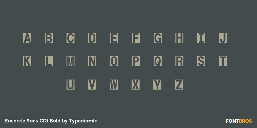 Encercle Sans CDI Bold Font Poster #1
