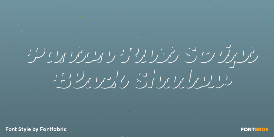 Panton Rust Script Black Shadow Poster