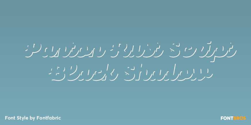 Panton Rust Script Black Shadow Poster