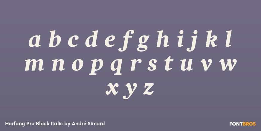 Harfang Pro Black Italic Font Poster #3