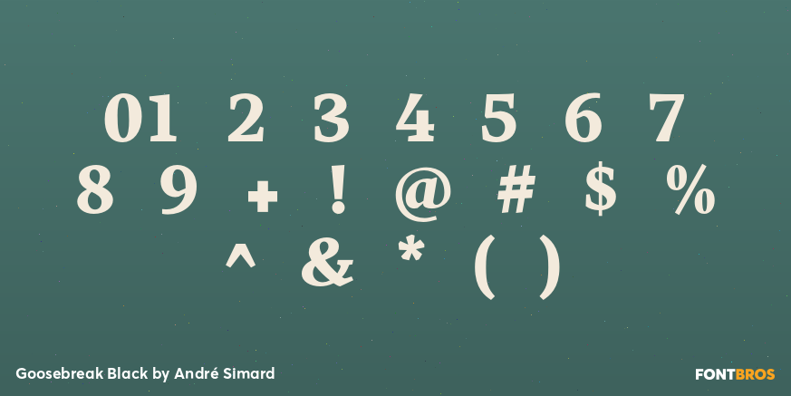 Goosebreak Black Font Poster #4