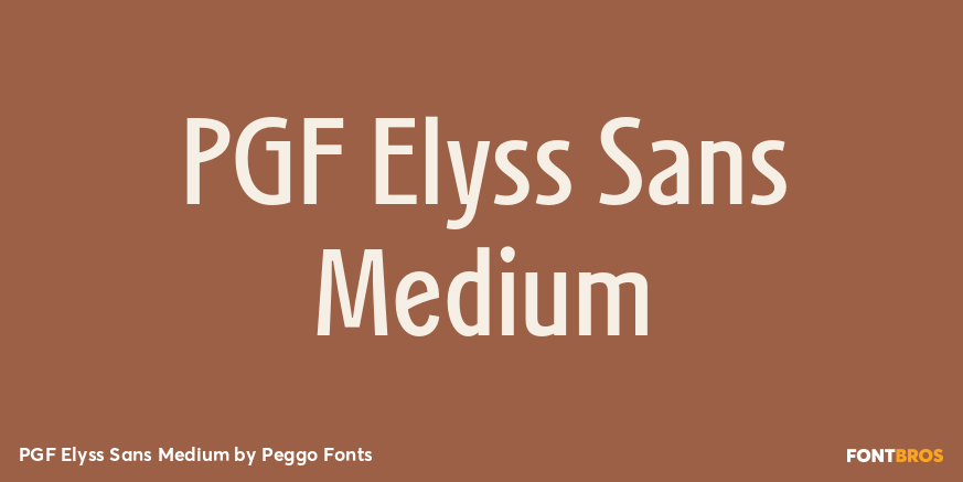 PGF Elyss Sans Medium Poster