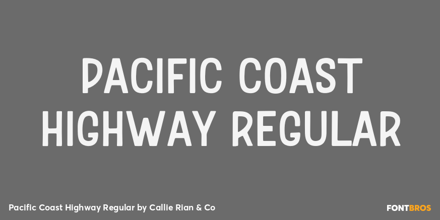 Pacific Coast Highway Regular Poster