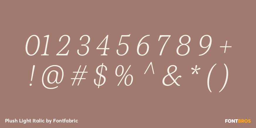 Plush Light Italic Font Poster #1