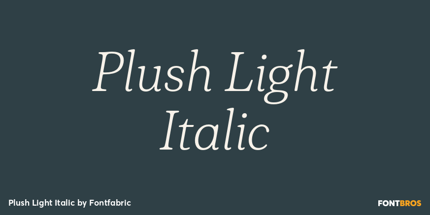 Plush Light Italic Poster