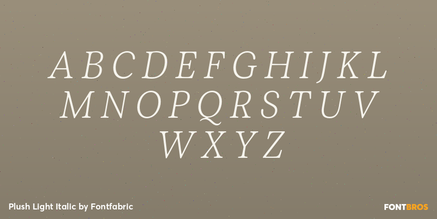 Plush Light Italic Font Poster #1